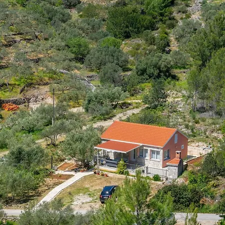 Casa vacanze Vila Maslina Grscica