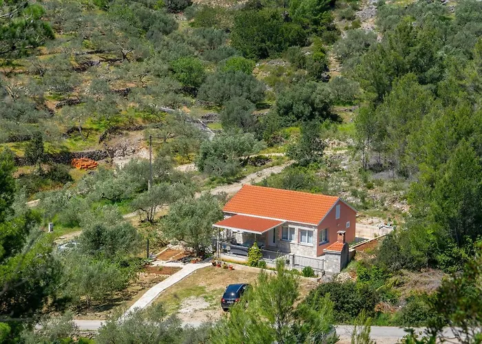 Tatil Evi Vila Maslina Grscica